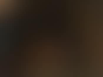 Adoration of the shepherds (preview)