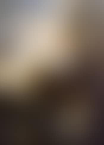 The Vision of Saint Augustine (preview)