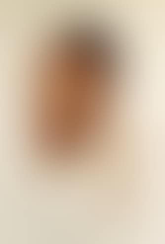 Portrait of Chinese man (preview)