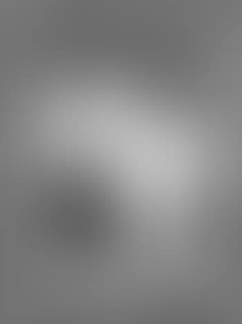 Horse looking out of stall (preview)