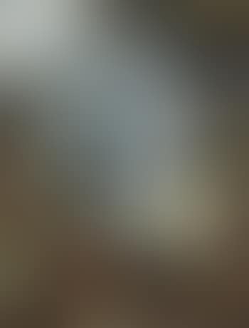 The Flight into Egypt (preview)