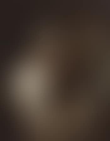 Orpheus playing his violin in painted oval (preview)