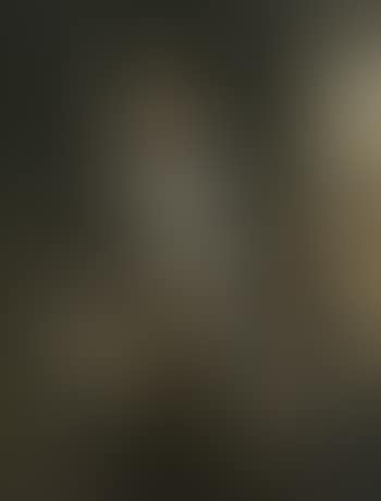 Portrait of gentleman wearing brown robe trimmed with blue (preview)