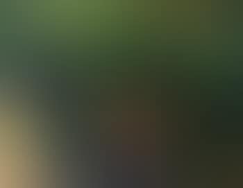 Epping Forest (preview)