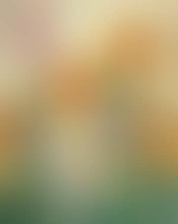 Still life with tulips and carnations (preview)