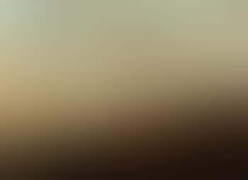 Cattle grazing in meadow (preview)
