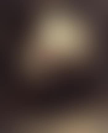 The kiss (preview)