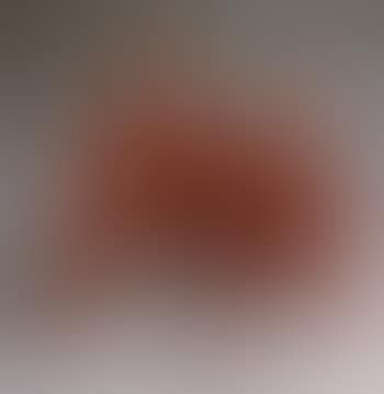 La vache (preview)