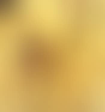 Landscape with birds (preview)