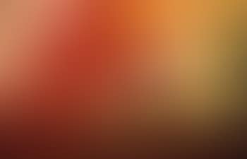 Cats eye view of garden (preview)