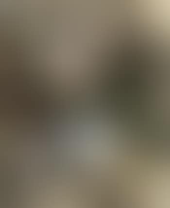 Montmartre avec du vent (preview)