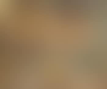 Greek landscape (preview)