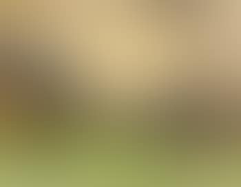 Allgau valley (preview)