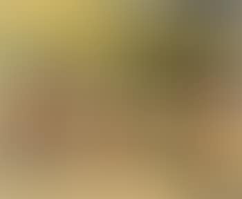Bathers III (preview)