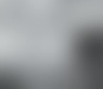 Lower Rhine landscape (preview)