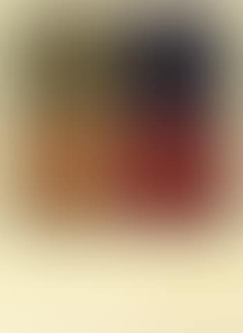 Untitled (preview)