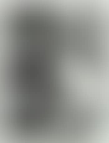 Oiseaux (preview)
