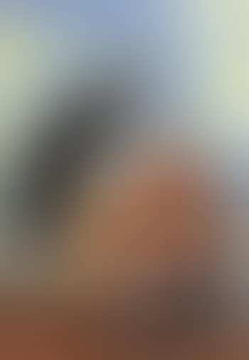 Der dreiste freier (preview)