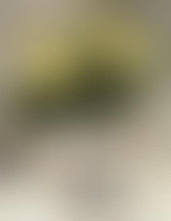 Yellow roses in silver vase (preview)