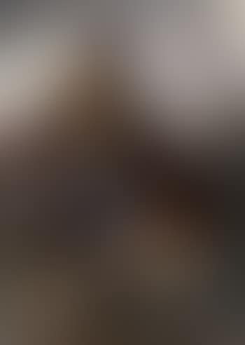 Spanish gypsy woman (preview)