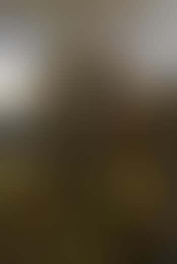 Wooded landscape with hunter (preview)