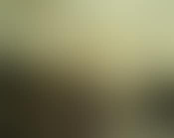 Winter wooded landscape (preview)