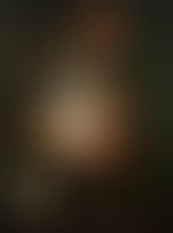 Vase of flowers (preview)