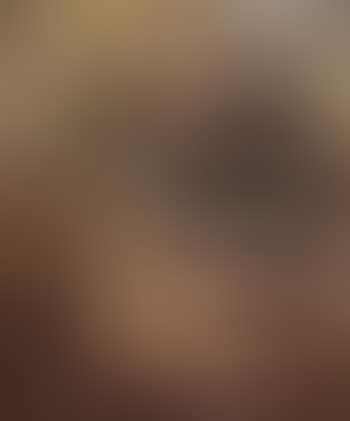 Evening in the studio (preview)