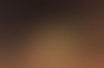 Nature morte aux prunes (preview)