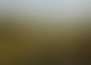 Mountainous landscape with goats (preview)