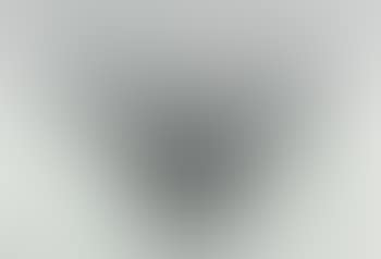 Untitled steel object, bush (preview)