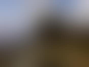 Extensive landscape, traveller on path (preview)