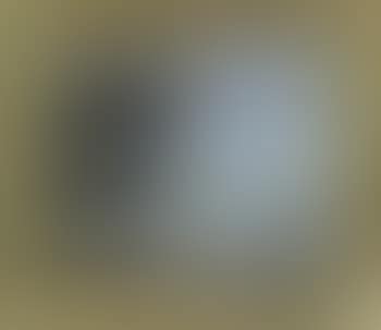 River landscape with man in rowing boat (preview)