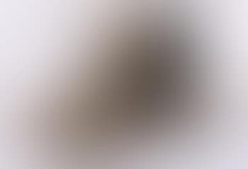 Foglio N2/A (preview)
