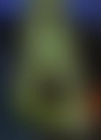 Vegetations (preview)