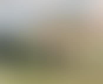 On little Mississippi River (preview)