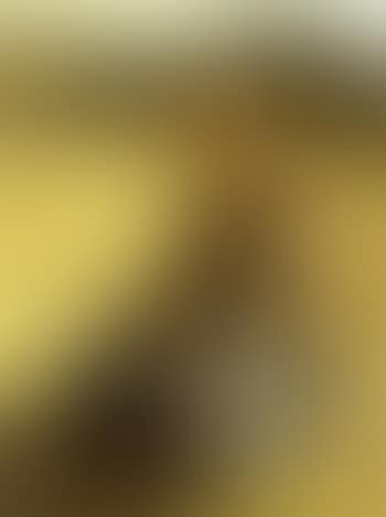 Portrait of young girl seated in corn field (preview)
