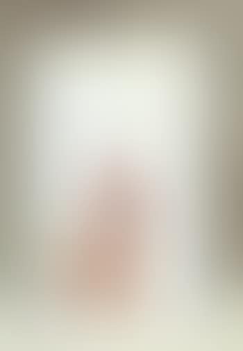 Still life of Danish flag and sheet (preview)