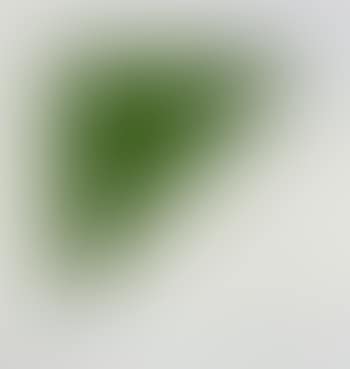Green curve with radius of 20 (preview)