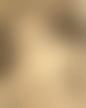 Study for 'Les Fleurs du Mal' (preview)