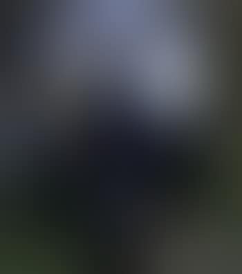 Autoportrait de l'artiste au retour de la peche accompagne de son chien (preview)