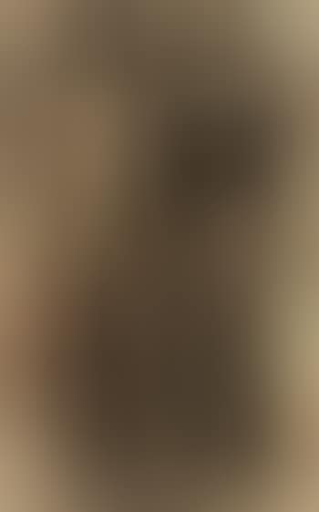 Figures (preview)