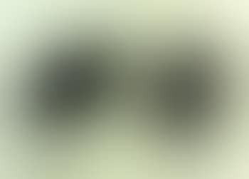 Composition (preview)