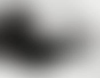 Black tulip (preview)