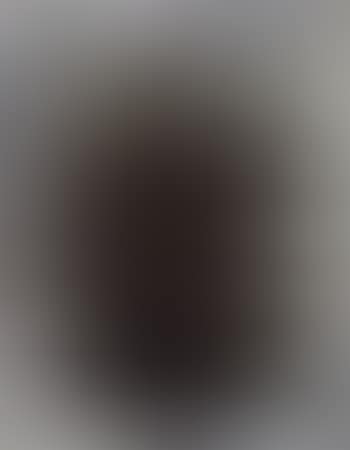 Tournesols (preview)