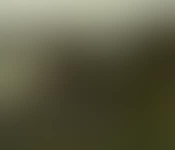 Autumn day on Donau-Wachau (preview)