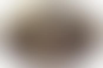 Cavalry battle (preview)