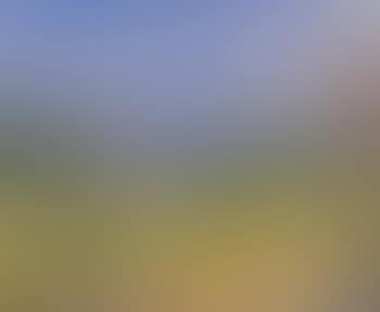 Paysage de Saint Tropez (preview)