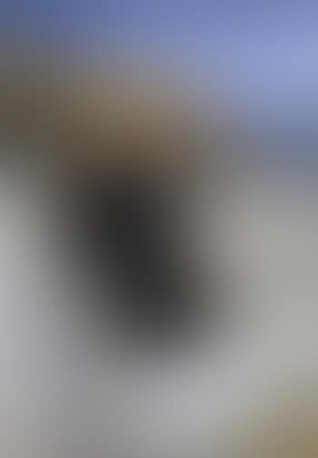 Farniente (preview)