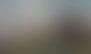 Shepherdess and flock in landscape (preview)